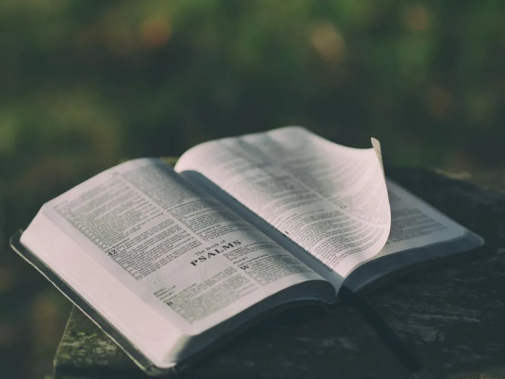 An open book, representing Italian texts and records translated to and from English