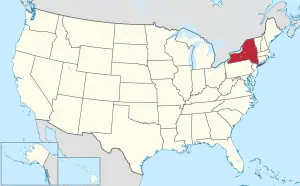 Округ Уоррен, штат Нью-Йорк, США — Услуги по переводу документов